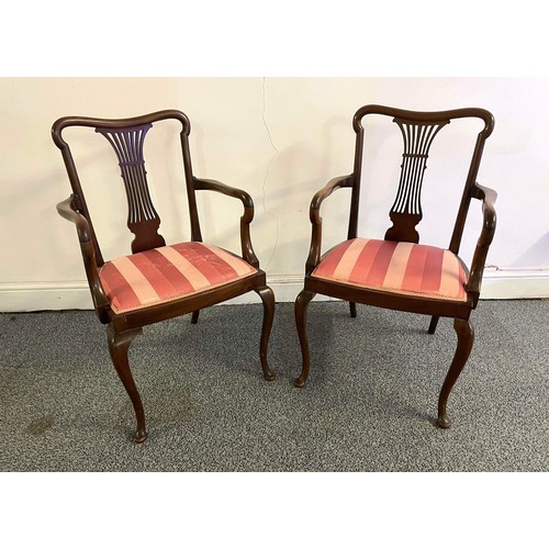 495 - TWO QUEEN ANN STYLE CARVER CHAIRS