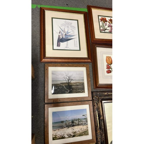 529 - QTY OF MIXED PLANT PRINTS AND FRAMES