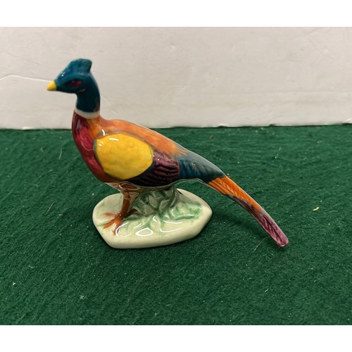 815 - SMALL CHINA PHEASANT