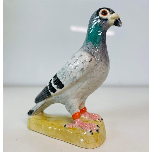 44 - JOHN BESWICK PIGEON