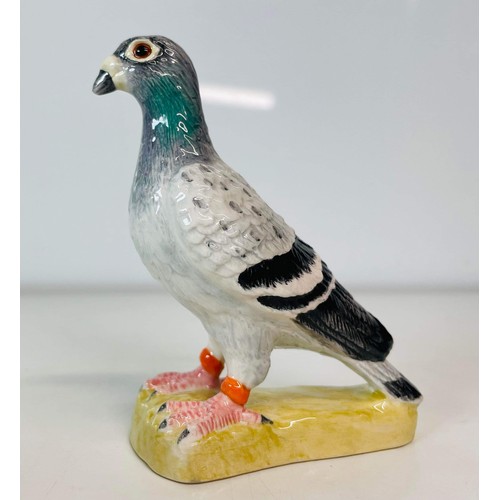 44 - JOHN BESWICK PIGEON