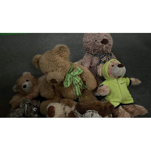 202 - TEDDIES