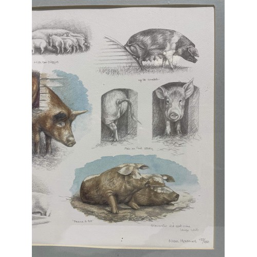 46 - FRAMED PIGS BY NIGEL HEMMING 152 / 850 PRINT