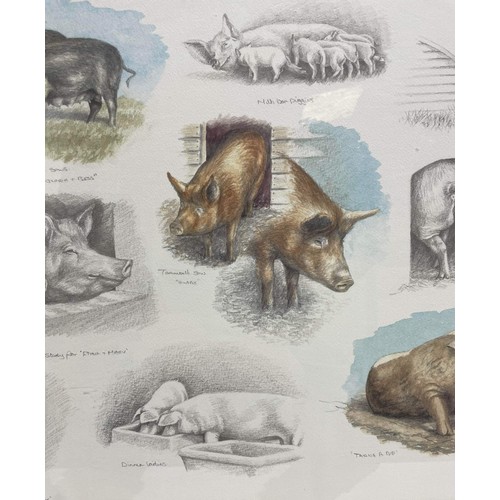 46 - FRAMED PIGS BY NIGEL HEMMING 152 / 850 PRINT