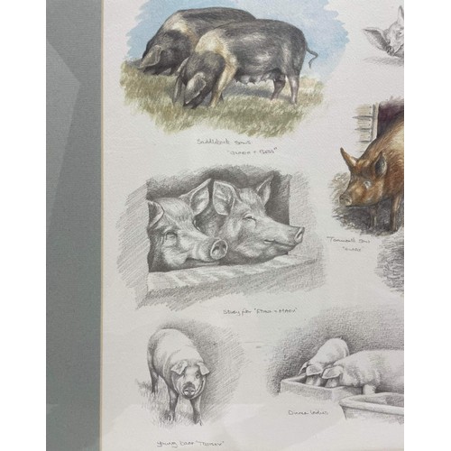 46 - FRAMED PIGS BY NIGEL HEMMING 152 / 850 PRINT