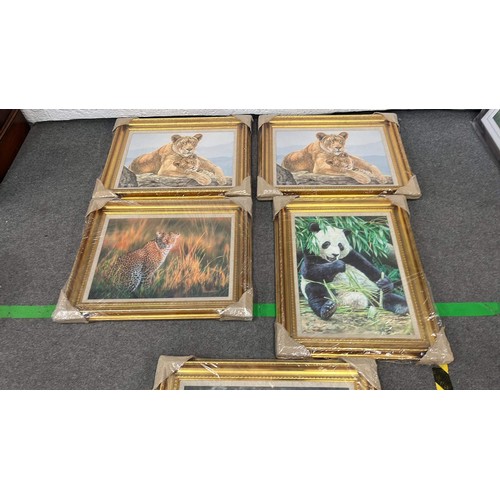 397 - Five large framed African wildlife prints by Stephen Gaylord with certs