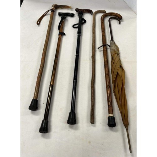 401 - WALKING STICKS AND UMBRELLAS