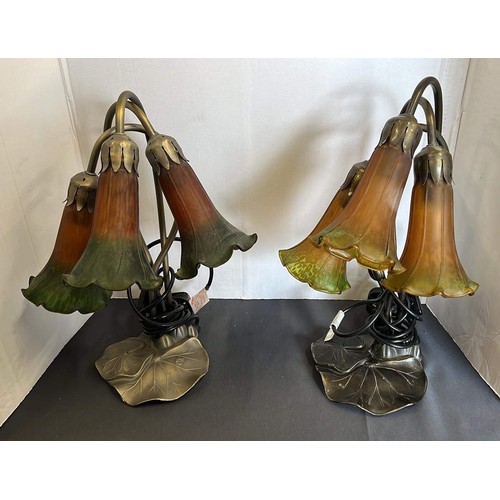 7 - DROOPING LILLY FLOWER SIDE LAMPS