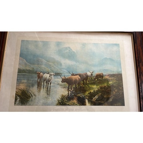 375 - TWO LARGE FRAMED HIGHLAND CATTLE PRINTS