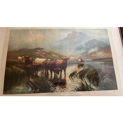 375 - TWO LARGE FRAMED HIGHLAND CATTLE PRINTS