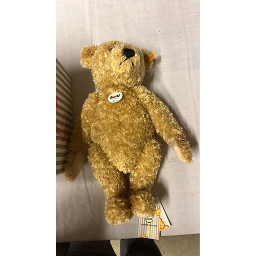 885 - BOXED STEIFF BEAR