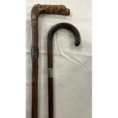 87 - TWO SILVER COLLAR WALKING STICKS