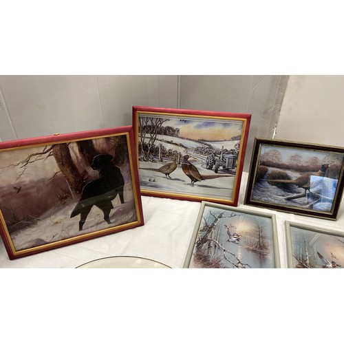 227 - FRAMED PHEASANT AND OTHER BIRDS