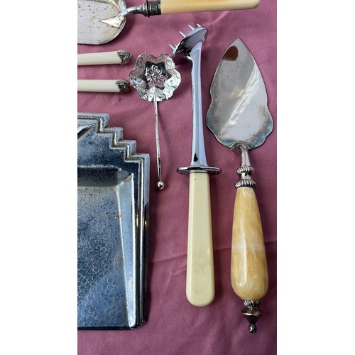 21 - SELECTION OF BUTLER TABLE WARE...