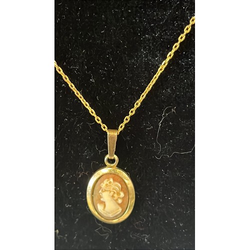 222 - CAMEO PENDENT AND CHAIN 9ct