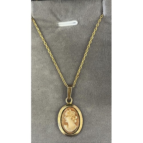 222 - CAMEO PENDENT AND CHAIN 9ct