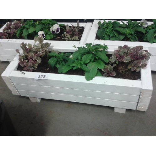 173 - White wooden trough planter, 530 x 220mm, with assorted winter flowers