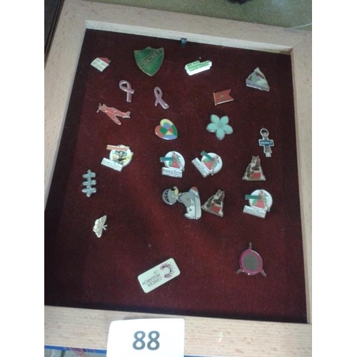 88 - Quantity of assorted pin badges including Euro Disney, cancer research etc.