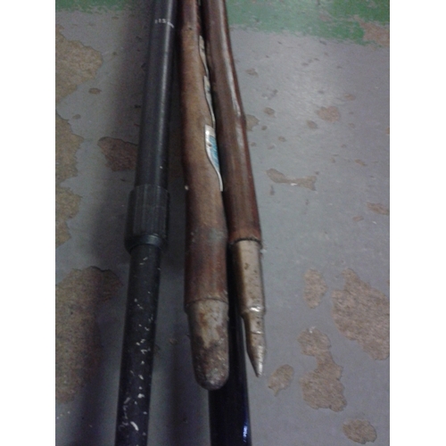 24 - 2 x modern carbon & 2 x old wooden walking sticks. Wooden sticks have stick badges and one with bull... 