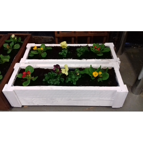 95 - White painted wooden trough planter, approx 62 x 22cm,  with winter flowers and plants