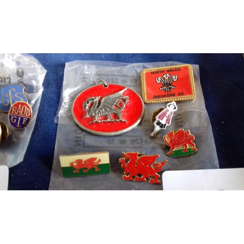 20 - Small job lot of assorted enamel welsh related pin badges etc.