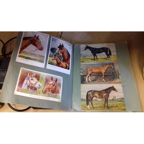 126 - Old scrapbook with assorted vintage horse and pony postcards