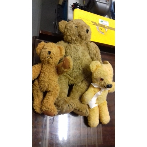 275 - 3 x vintage teddy bears