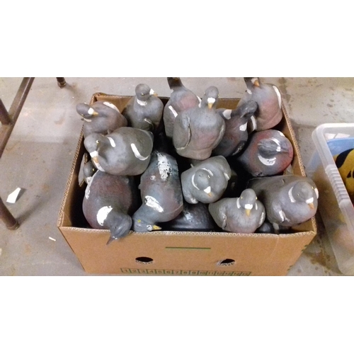 334 - Box of decoy pigeons