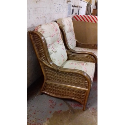 461 - Pair of desser cane chairs near mint condition with cushions