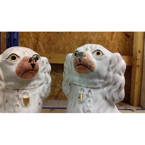 111 - Large pair of 30 cm tall staffordshire pottery fireside dogs, 1 with damage to nose and hairline cra... 