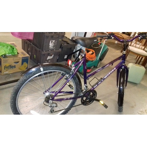 284 - Ladies raleigh enigma 10 speed mountain bike