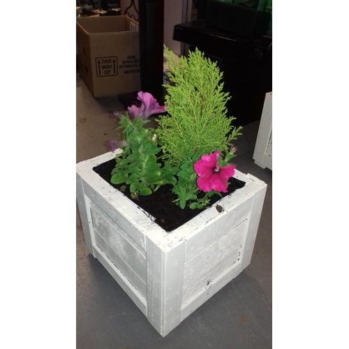 4 - Cream square planter with plants 35 x 27 x 28 cm tall