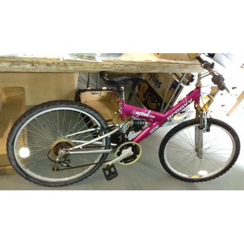 134 - Girls groovy action mtb performance mountain bike