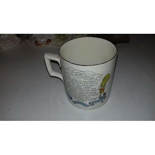 47 - Vintage Burgess and Leigh burleighware 'god speed the plough' mug