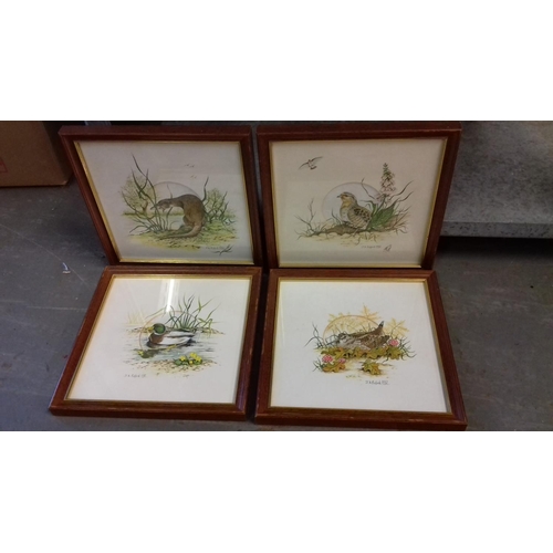 519 - Set of four 22 x 22 framed water colour animal paintings signed and dated J.A.PULLFORD 1992