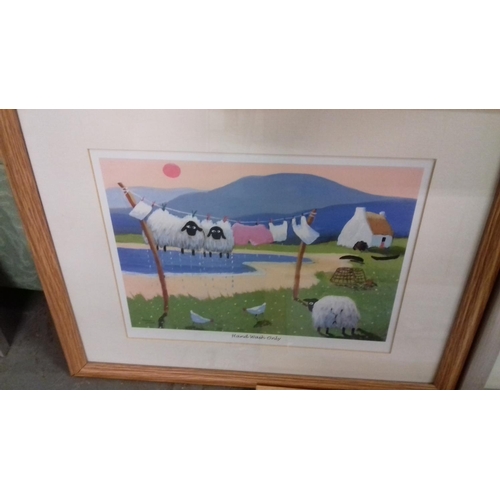 569 - 3 x framed cartoon sheep pictures titled 'hand wash only', 'joys of spring' & form-ewe-la one, large... 