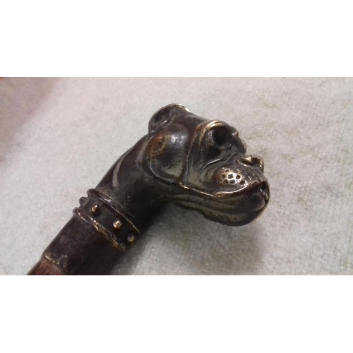 58 - Walking cane with metal bronze look bull dogs head topper