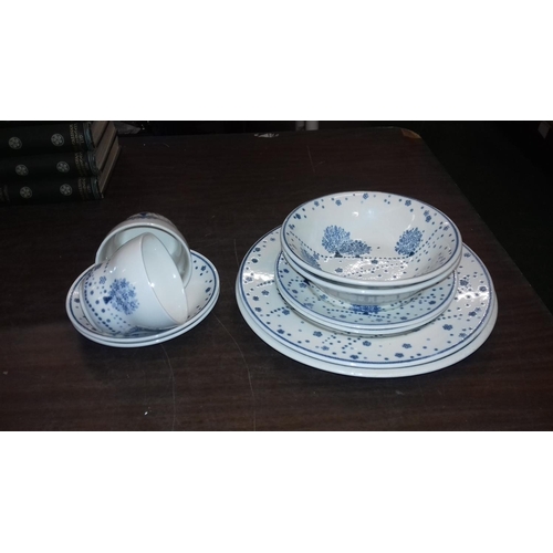 61 - 2 place setting 10 piece English Ironstone dinner set