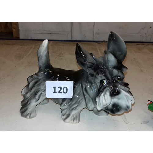 Lot 120       