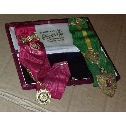 581 - 2 x Royal Order of the Buffaloes jewels on ribbons in Cashmore and Co Birmingham case