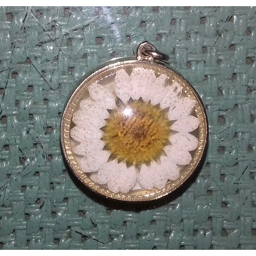 524 - Dried flower double sided glass pendant in yellow metal mount