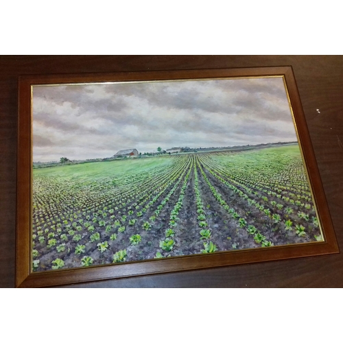 485 - 72 x 52 framed oil painting of field of vegetables