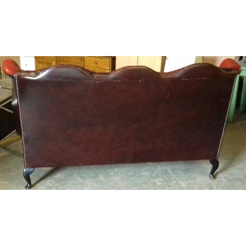 296 - Chesterfield Queen Anne wing back 3 seater oxblood sofa/settee