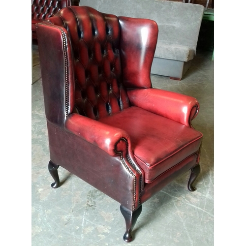 305 - Chesterfield Queen Anne wing back oxblood arm chair