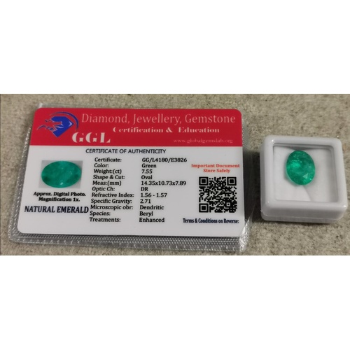 Lot 20        