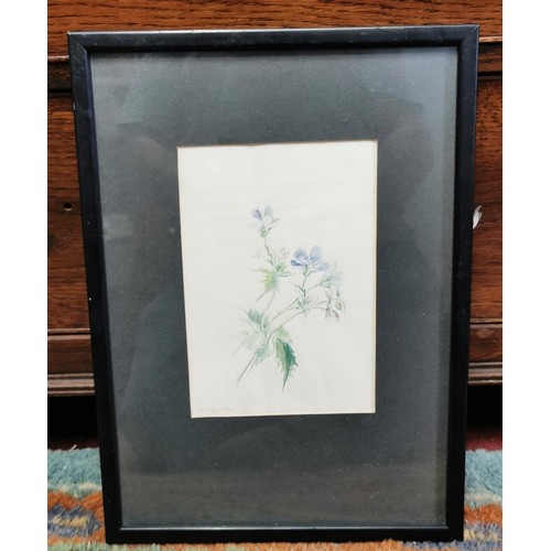 12 - 1977 dated water colour flower painting leaving present with signatures on rear