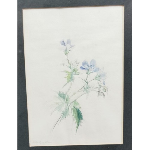 12 - 1977 dated water colour flower painting leaving present with signatures on rear