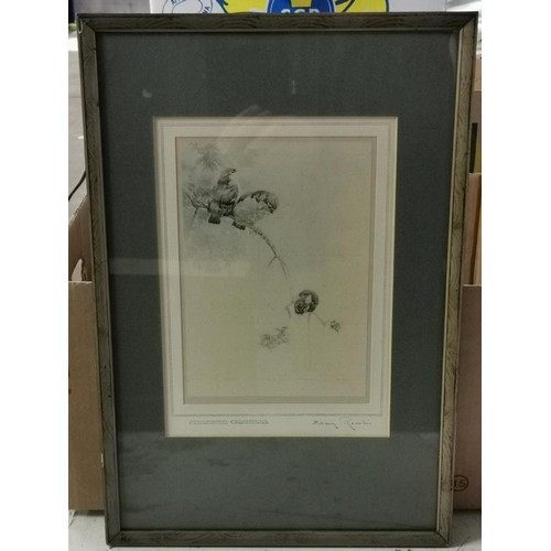 154 - 32.5 x 48 cm framed and mounted vintage print of birds on a branch titled 'Serious Trouble'