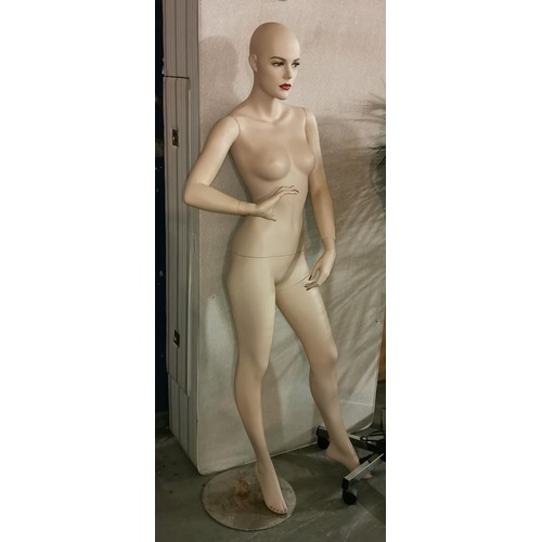 46 - Complete female mannequin with stand