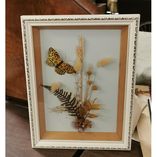 66 - 23.5 x 30.5 cm box framed dried flower and butterfly wall decoration